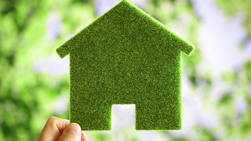 生物降解性表面活性剂：定制化制造的未来趋势**